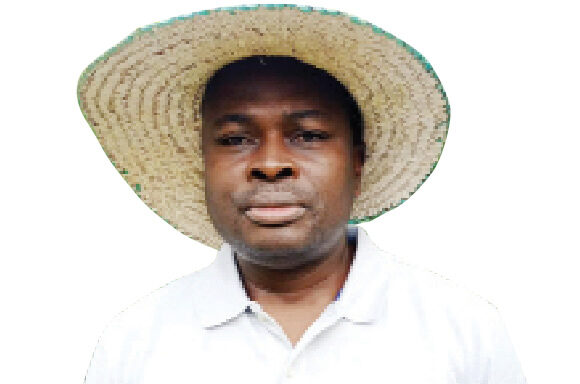 Herdsmen destroyed N320m crops, vowed to engage foreign militias –Oyo Agro Park Investors’ president